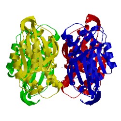 Image of CATH 1xtt