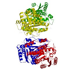 Image of CATH 1xu7