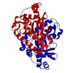 Image of CATH 1xuq