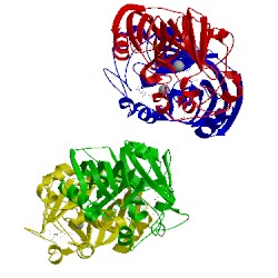 Image of CATH 1xv2