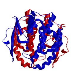 Image of CATH 1xw5