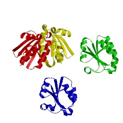 Image of CATH 1xw9