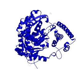 Image of CATH 1xwl