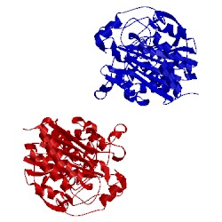 Image of CATH 1xx2