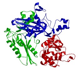 Image of CATH 1xx5