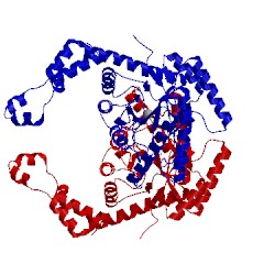 Image of CATH 1xyb