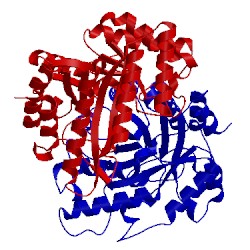 Image of CATH 1xyz