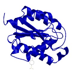 Image of CATH 1xzc