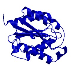 Image of CATH 1xzi