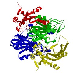 Image of CATH 1y0b