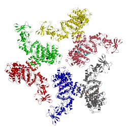 Image of CATH 1y0v