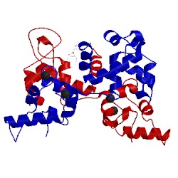 Image of CATH 1y1a