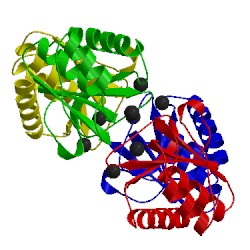 Image of CATH 1y1l