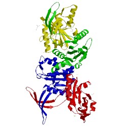 Image of CATH 1y1o