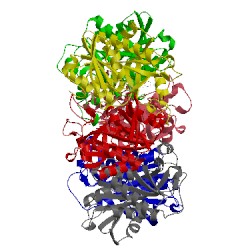 Image of CATH 1y1s