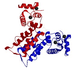 Image of CATH 1y1x