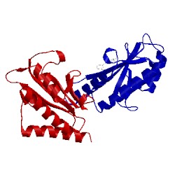 Image of CATH 1y2g