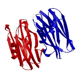 Image of CATH 1y2v