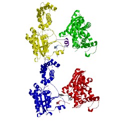 Image of CATH 1y3a