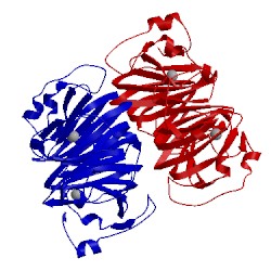 Image of CATH 1y3t