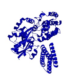 Image of CATH 1y4c