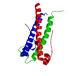 Image of CATH 1y4m