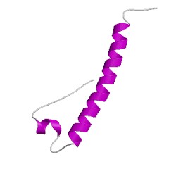 Image of CATH 1y4mC00