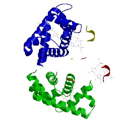 Image of CATH 1y4q