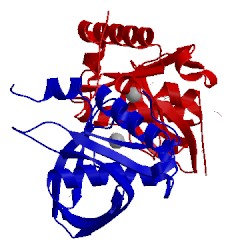 Image of CATH 1y6h