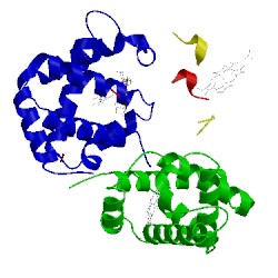 Image of CATH 1y8h