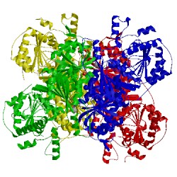 Image of CATH 1y9d