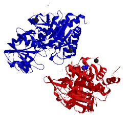 Image of CATH 1y9z