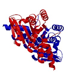 Image of CATH 1yac