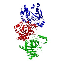 Image of CATH 1ybf