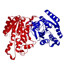 Image of CATH 1ybv