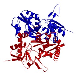 Image of CATH 1ycj