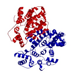 Image of CATH 1ycn