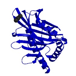 Image of CATH 1ydp
