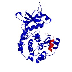 Image of CATH 1ydr