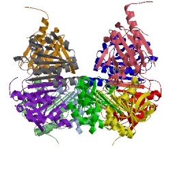 Image of CATH 1yf1