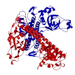 Image of CATH 1yf2