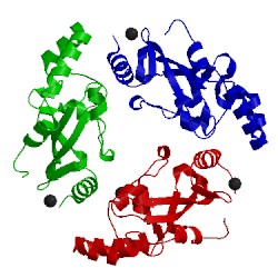 Image of CATH 1yf9