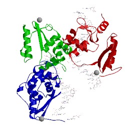 Image of CATH 1yfh