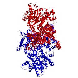 Image of CATH 1ygp