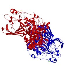 Image of CATH 1ygu