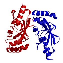 Image of CATH 1yh6