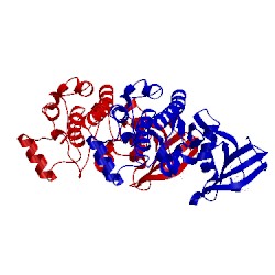 Image of CATH 1yi6