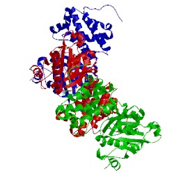 Image of CATH 1yj8