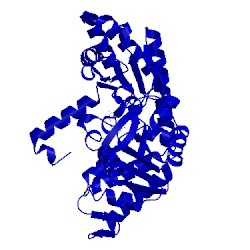 Image of CATH 1yjs