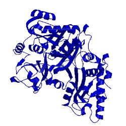 Image of CATH 1ylh